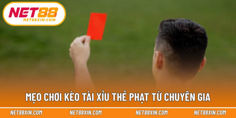 Kinh nghiệm thực tế giúp nâng cao hiệu quả dự đoán